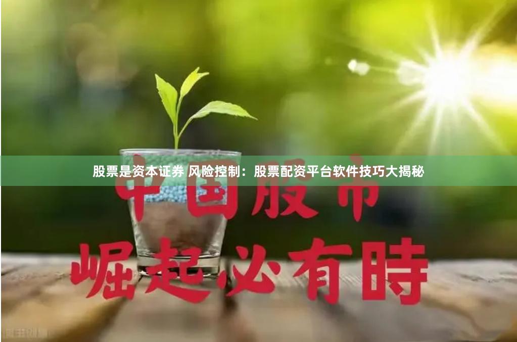 股票是资本证券 风险控制：股票配资平台软件技巧大揭秘