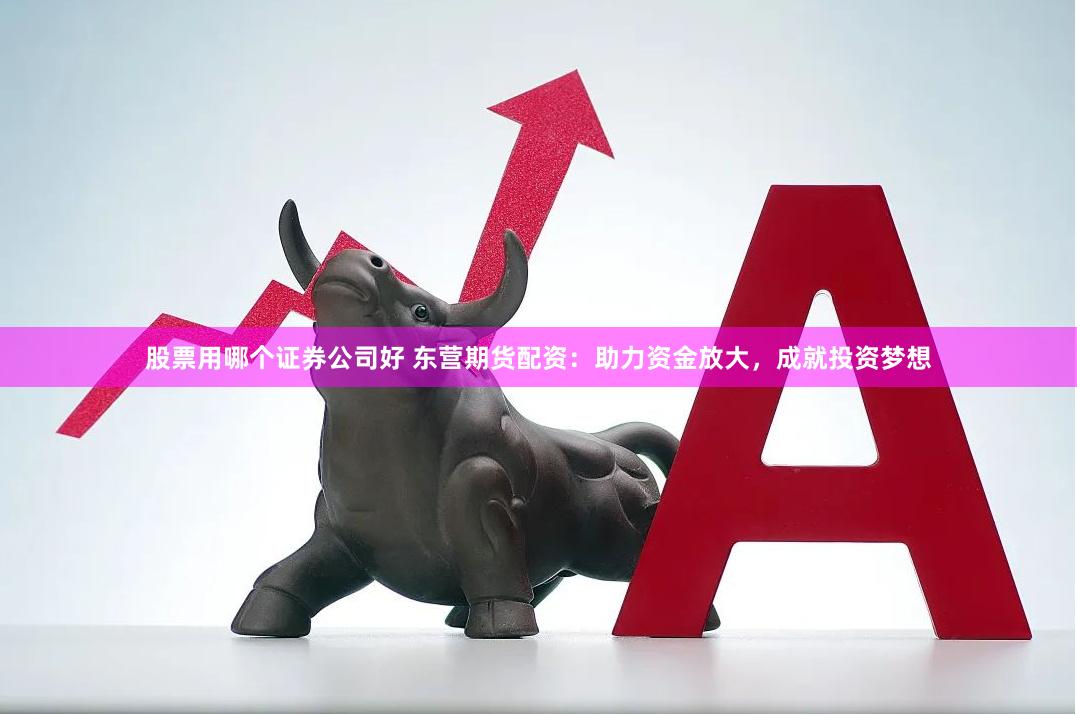 股票用哪个证券公司好 东营期货配资：助力资金放大，成就投资梦想